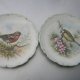 Royal Albert 1982      The Woodland Birds Collection