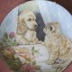 ROYAL WORCESTER BY PAM COOPER  - PUPPY LOVE -  COMPTON & WOODHOUSE  1991  kolekcjonerski talerz porcelanowy rzadko spotykana rzecz