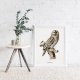 Plakat Vintage Sowa 50X70 B2