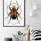 Plakat Geometria Robak 50x70cm B2
