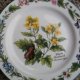 Royal Worcester herbs 1990  komplet sześciu  talerzyków porcelanowych rarytas