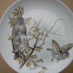 kaiser  west  germany kolekcjonerski talerz porcelanowy