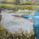 Royal Doulton 1989 by Kenneth J. Wood -birds of the british countryside -  the riverside  kingfisher - bradex - kolekcjonerski talerz porcelanowy