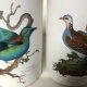 portmeirion 1978  birds of Britain duży porcelanowy Pojemnik kolekcjonerski użytkowy rzadko spotykany bardzo dekoracyjny