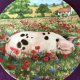 Royal Doulton 1997 - Poppy by Debbie Cook a charming ' hampshire ' with  her piglets  in the ' collection kolekcjonerski talerz porcelanowy z certy