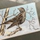 Wyjątkowy! ❀ڿڰۣ❀ Haft na jedwabiu 19cm. ❀ڿڰۣ❀ Sygnowana duża miniatura