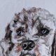 Zamów PORTRET psa, kota, bliskiej osoby - rozmiar A4 malowany ze zdjęć