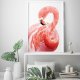 Plakat Flaming  - plakat 40x50 cm