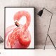 Plakat Flaming  - plakat 40x50 cm