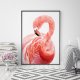 Plakat różowy flaming 61x91 cm
