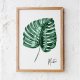 Plakat MONSTERA 40x50 cm