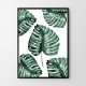 Monstera plakaty obrazy botaniczne 30x40 cm