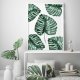 Monstera plakaty obrazy botaniczne 30x40 cm