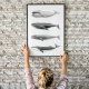 Plakat wieloryby skandynawski - format A3