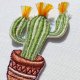 Naszywka Cactus