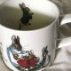 Wedgwood 1991 Peter Rabbit BEATRIX POTTER DESIGN FREDERICK WARNE & CO porcelana kolekcjonerska użytkowa