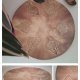 Orientalna patera ceramiczna beżowo brązowa handmade z tłoczonym wzorem matowa