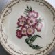 Heritage Rose by PHILIPPA NIKULINSKY HERRITAGE ROSE AUSTRALIAN COLLECTION -porcelanowy,  użytkowy,  dekoracyjny. ..