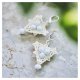 Białe kolczyki ślubne z koralików