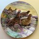 Kuropatwy na wrzosowisku ❀ڿڰۣ❀ David Binns - Country Artists #8