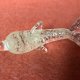 Miniatura Art glass do kolekcji delfinek   fantastyczny absolutnie ;)