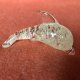 Miniatura Art glass do kolekcji delfinek   fantastyczny absolutnie ;)