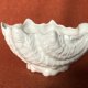 Floris Coalport wykwintna misa - osłonka   forma inspirowana naturą - szlachetna porcelana