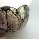 Black Shell Pearls  ❤ Paterka utkana z naturalnej muszli ❤ Ręczna praca