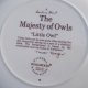 WEDGWOOD The Majesty of Owls - "little  Owl" kolekcjonerski talerz porcelanowy