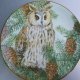 the british Owls collection -  Royal kendal - sheila mannes abbott - the long earred owl -Rzadko spotykany  kolekcjonerski talerz porcelanowy