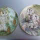 the british Owls collection -  Royal kendal - sheila mannes abbott - the long earred owl -Rzadko spotykany  kolekcjonerski talerz porcelanowy