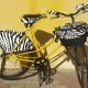 dzwonek Ding Ding   ZEBRA