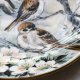 WRÓBLE OD COALPORT ❀ڿڰۣ❀ Oriental Bird Studies ❀ڿڰۣ❀