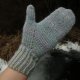 gołębie / rękawiczki