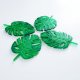 Zielone liście monstery - podkładki pod kieliszki z żywicy epoksydowej + pojemnik