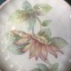 THE PASTEL  COLLECTION  -  RAPSODY- HANDCRAFTED  - DENBY  FINE PORCELAIN  WEST GERMANY