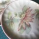 THE PASTEL  COLLECTION  -  RAPSODY- HANDCRAFTED  - DENBY  FINE PORCELAIN  WEST GERMANY