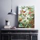 Plakat rajskie ptaki 70x100 B1