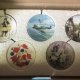 Miniatura kolekcjonerska  - rzadkość  .  - centenary  Collection  - Cornfield poppies - bradex