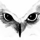 Akwarela oryginalna A4 "Owl Eyes", czarno biały obraz, oczy sowy, ptak malowany, farbami, minimalistyczny styl, skandynawski, cottage styl