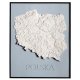 Polska mapa topograficzna – obraz 3D