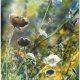 Determinacja (giclée)