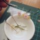 Piwonia naszyjnik, miniaturowe kwiaty art clay
