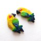 Egzotyczne Kolczyki Papugi