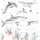 Zwierzęta morskie- Ocenia