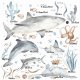 Zwierzęta morskie- Ocenia