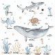 Zwierzęta morskie- Ocenia II
