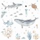 Zwierzęta morskie- Ocenia II