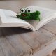 Zakładka do książki  żaba