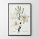 Plakat Białe kwiaty vintage 40x50 cm